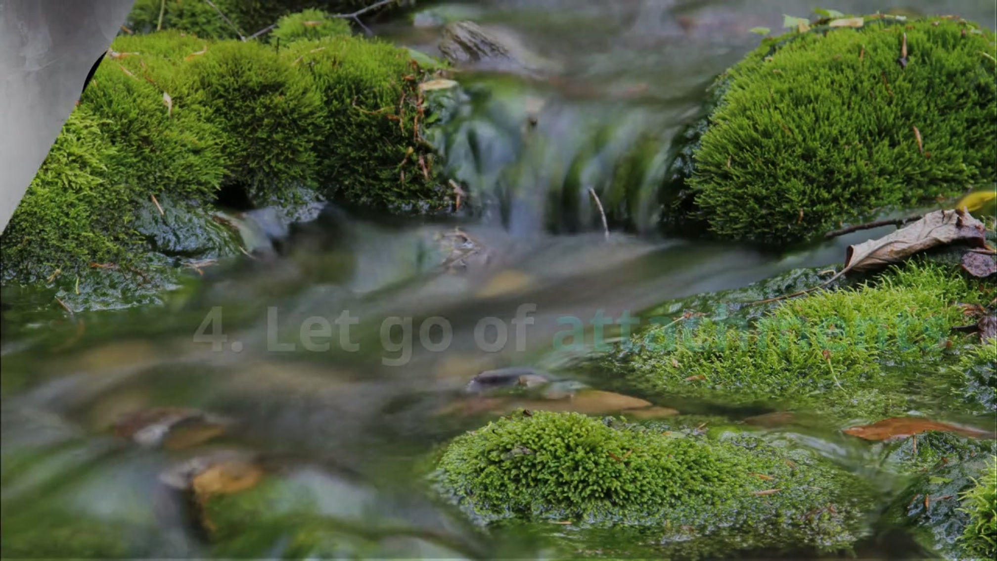 The 8 Tenets to a ClutterLESS Lifestyle